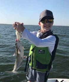 Lewisville Report Photo 1