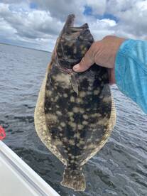 Tyner Report Photo 1