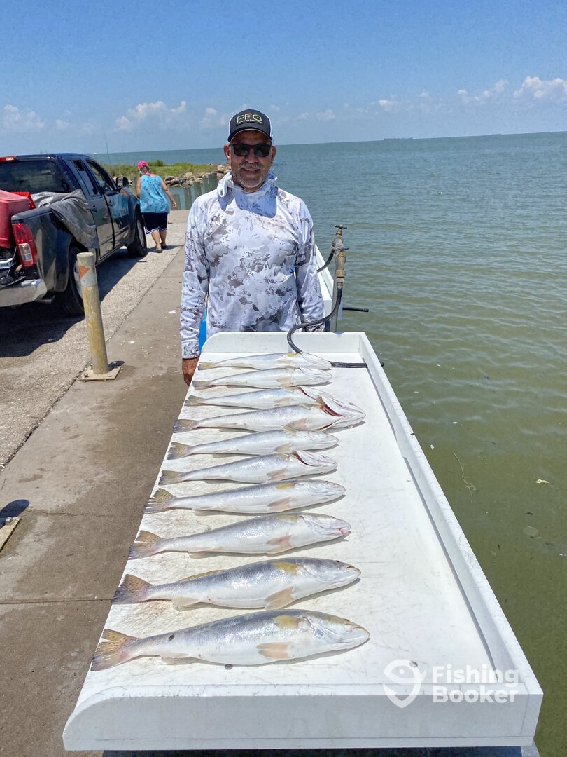 Texas City Report Photo 0