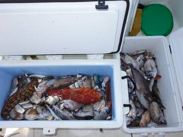 Kaštel Kambelovac Report Photo 4