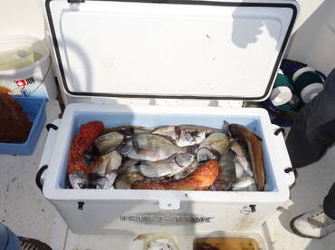 Kaštel Kambelovac Report Photo 1