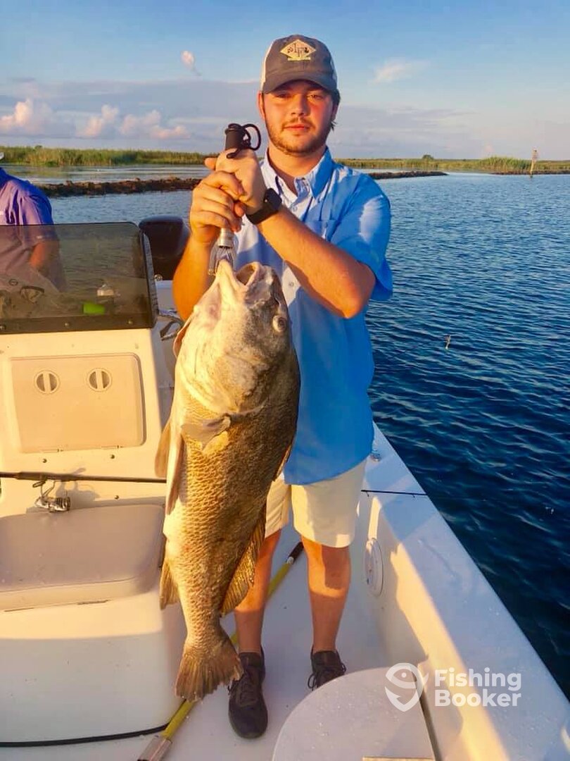 Barataria Report Photo 0