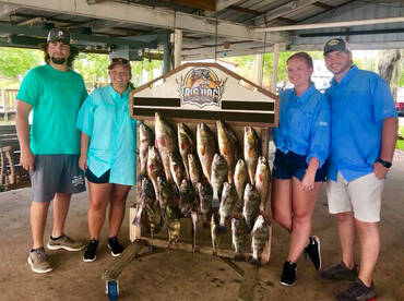 Barataria Report Photo 2