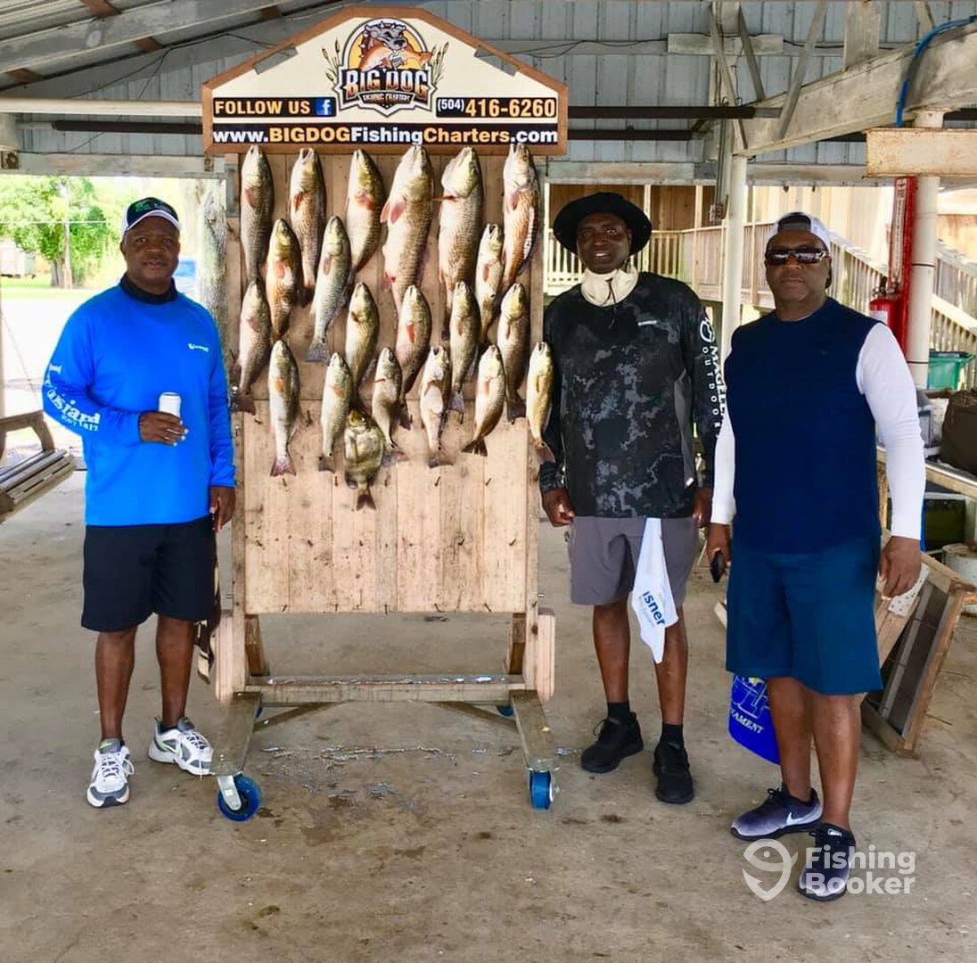 Barataria Report Photo 0