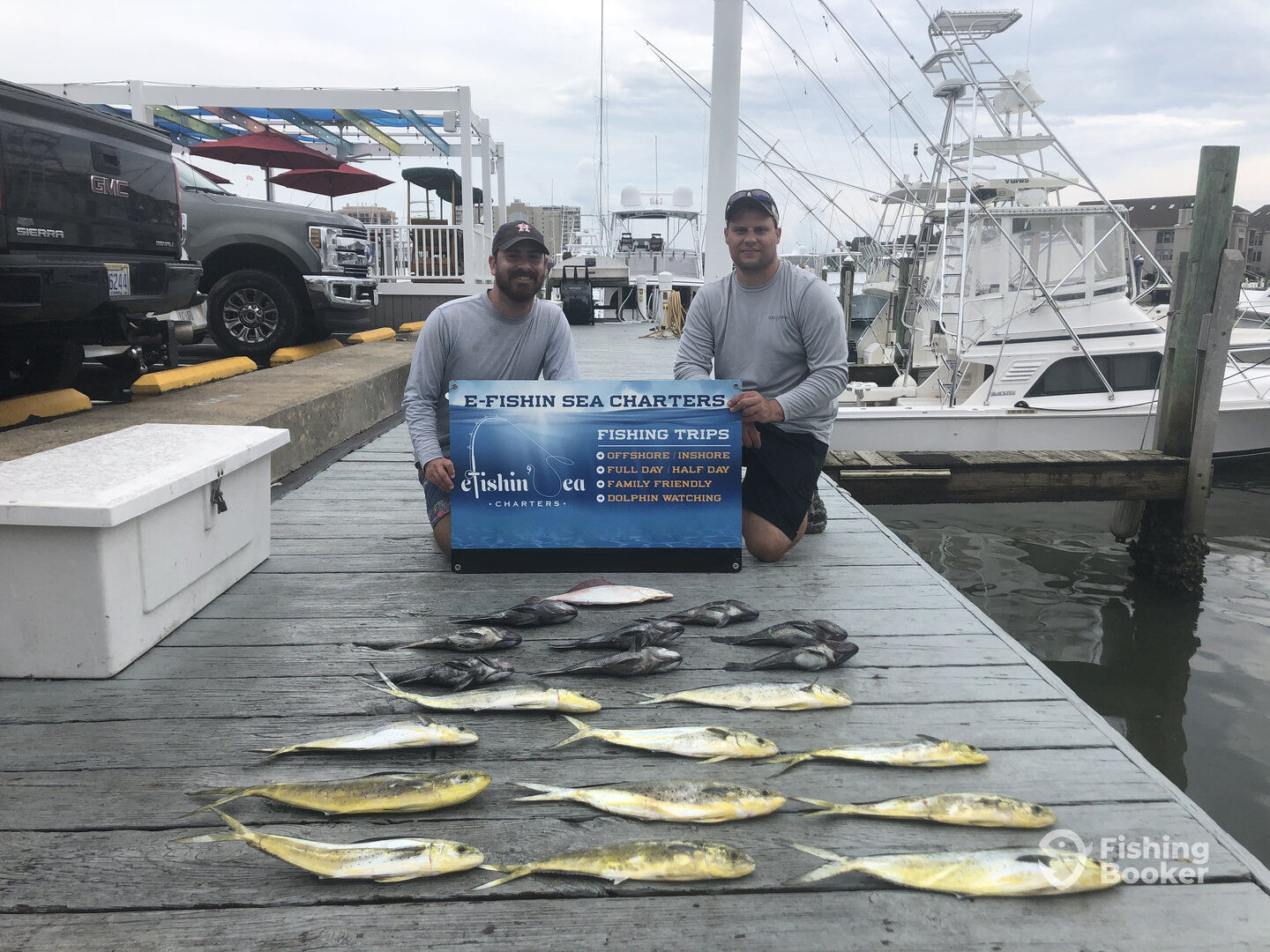 Mahi and Black Sea Bass