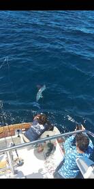 Tavira Report Photo 1