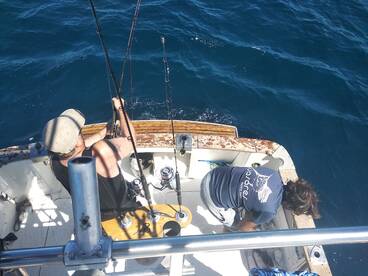 Tavira Report Photo 2