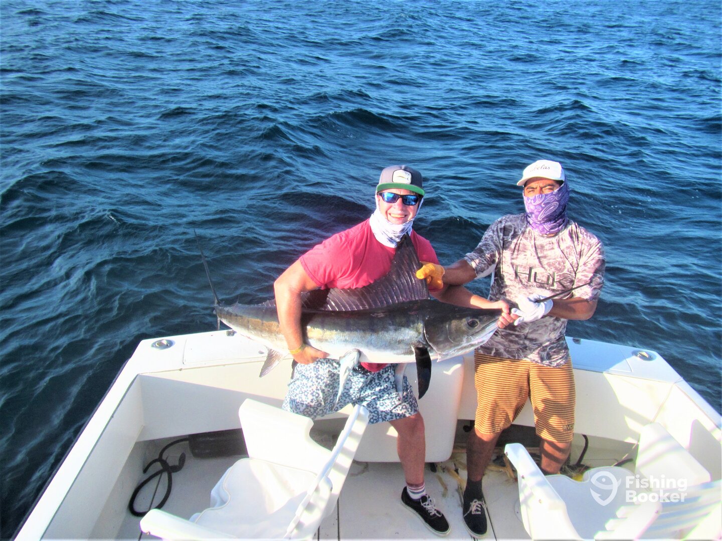Cabo San Lucas Report Photo 0