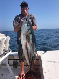 TUNA and YELLOWTAIL!