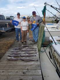Great time for Billfish and Tilefish