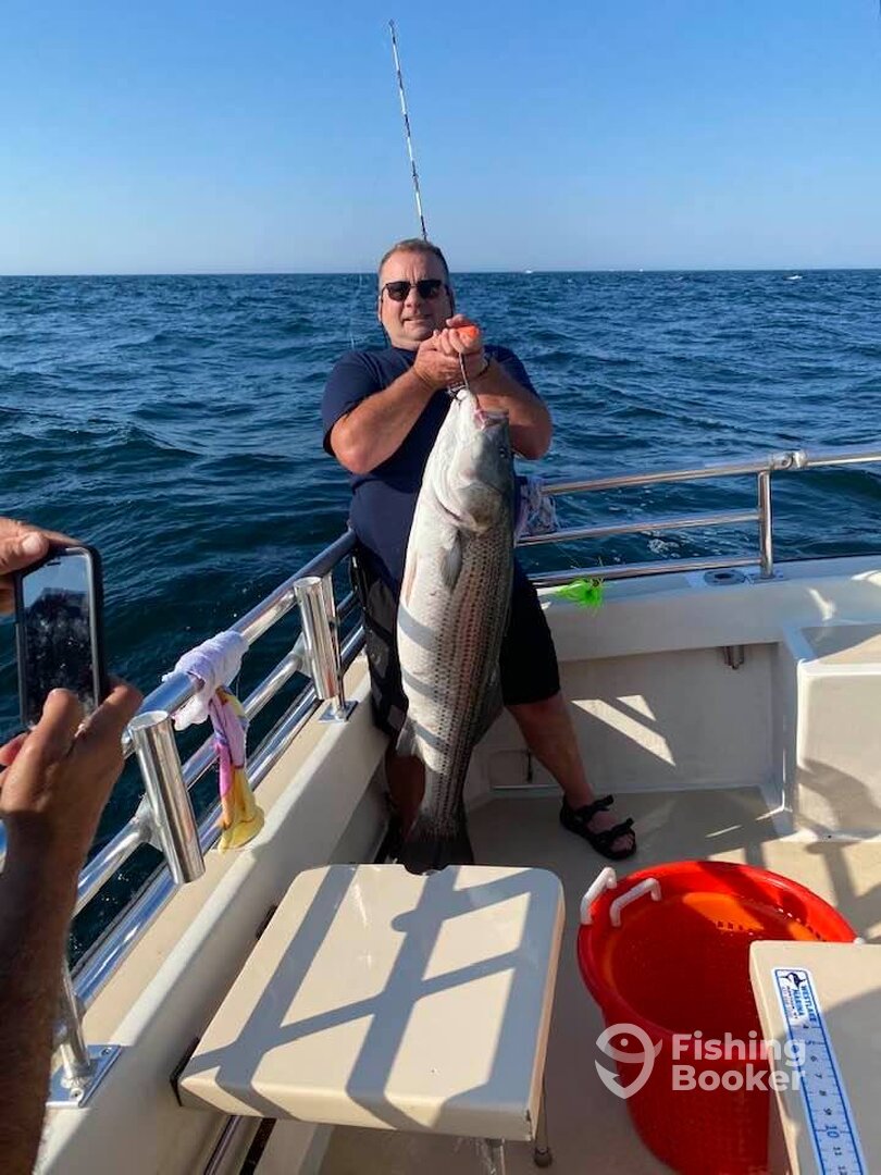 Montauk Report Photo 0