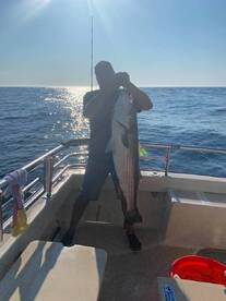 Montauk Report Photo 2