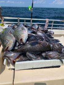 Montauk Report Photo 1