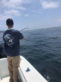 San Diego Report Photo 2