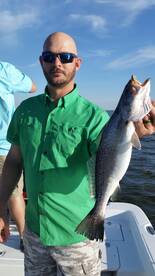 Grand Isle Report Photo 2