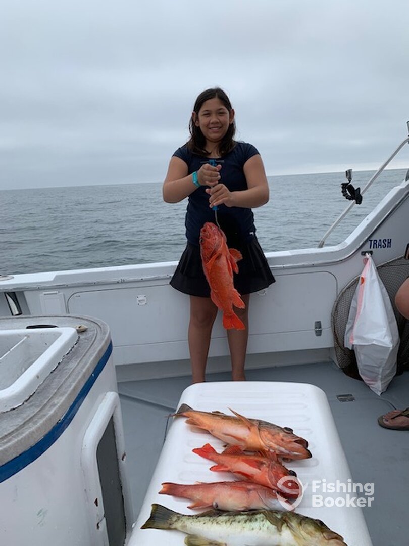 Oceanside Report Photo 0