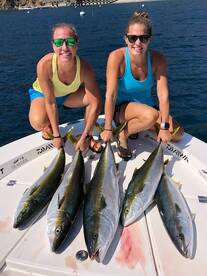 Catalina Yellowtail