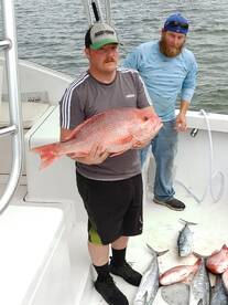 8 hr trip late November