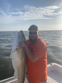 Red drum are showing up !