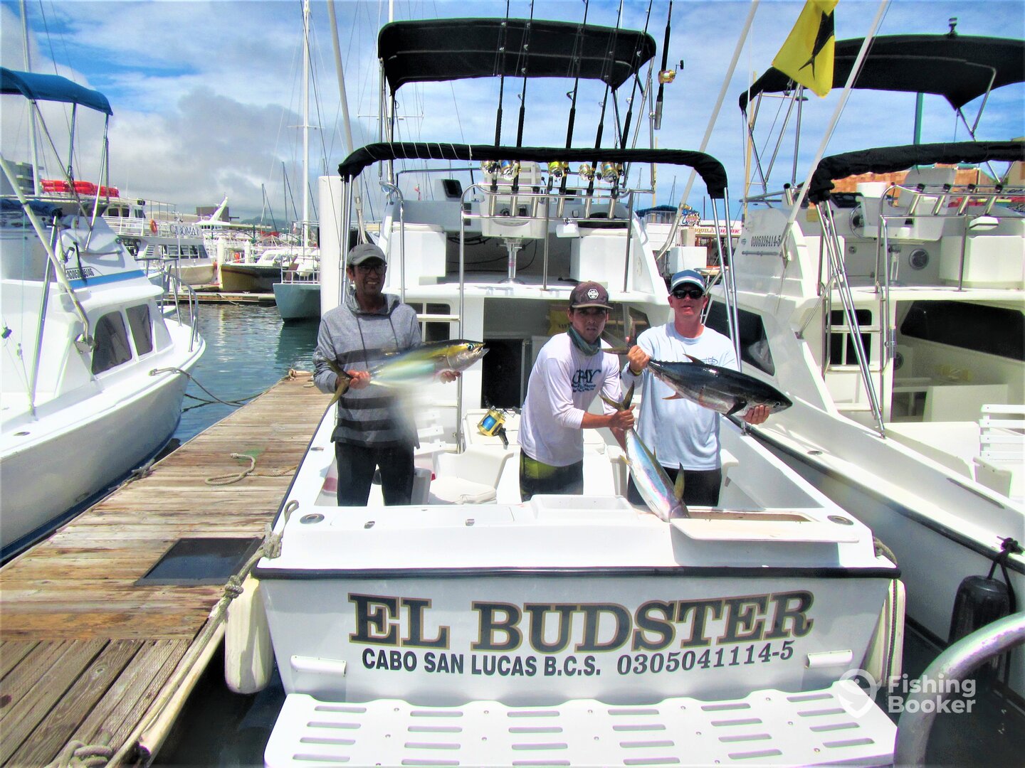 Cabo San Lucas Report Photo 0