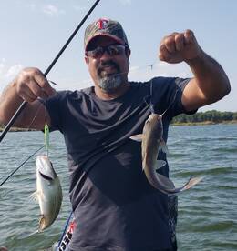 Grapevine Report Photo 2