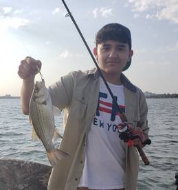 Grapevine Report Photo 1