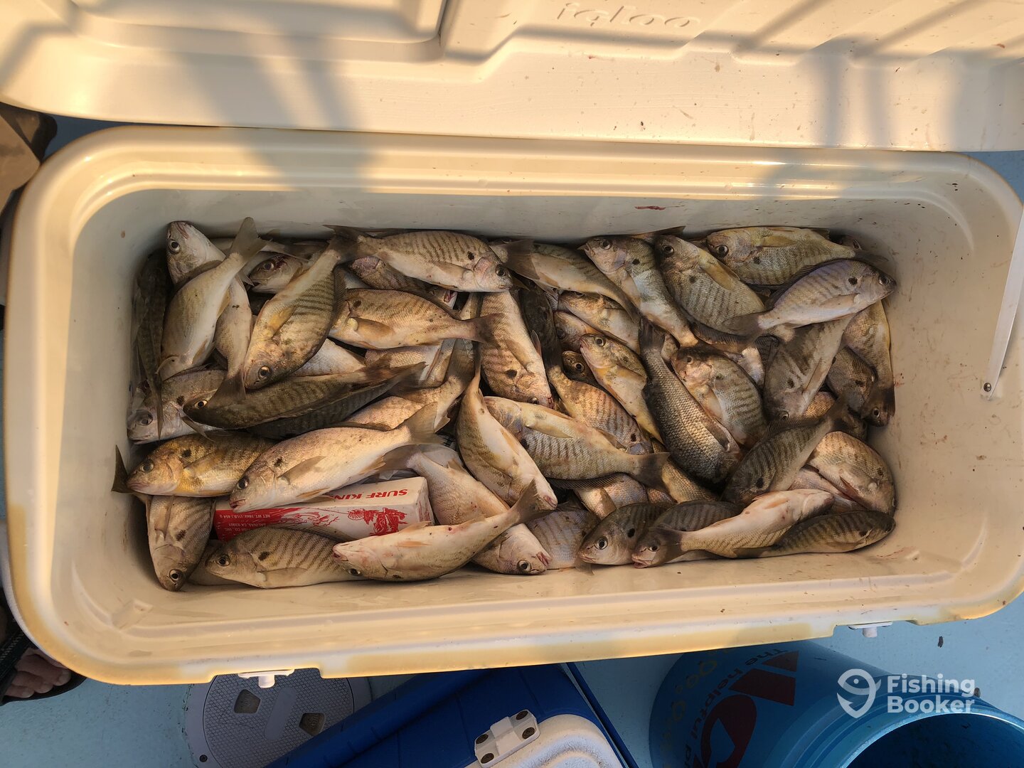 Chesapeake Beach Report Photo 0