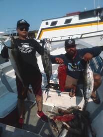 Yellows bonitas local full day trip !! 