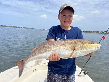 Sarasota Report Photo 1