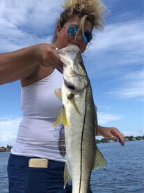 Sarasota Report Photo 2