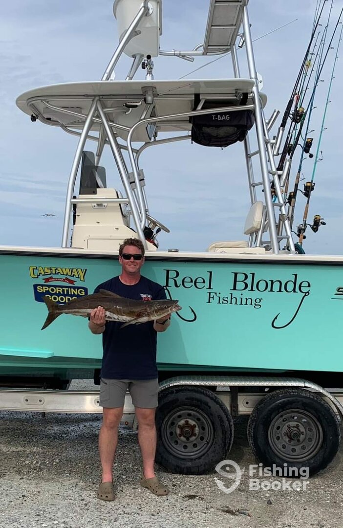 Poquoson Report Photo 0