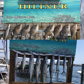 Triggerfish Fall Season!