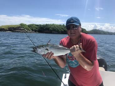 Feisty skipjack tuna