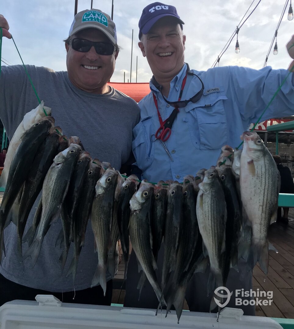 Grapevine Report Photo 0