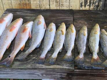 September Fishing Is On 