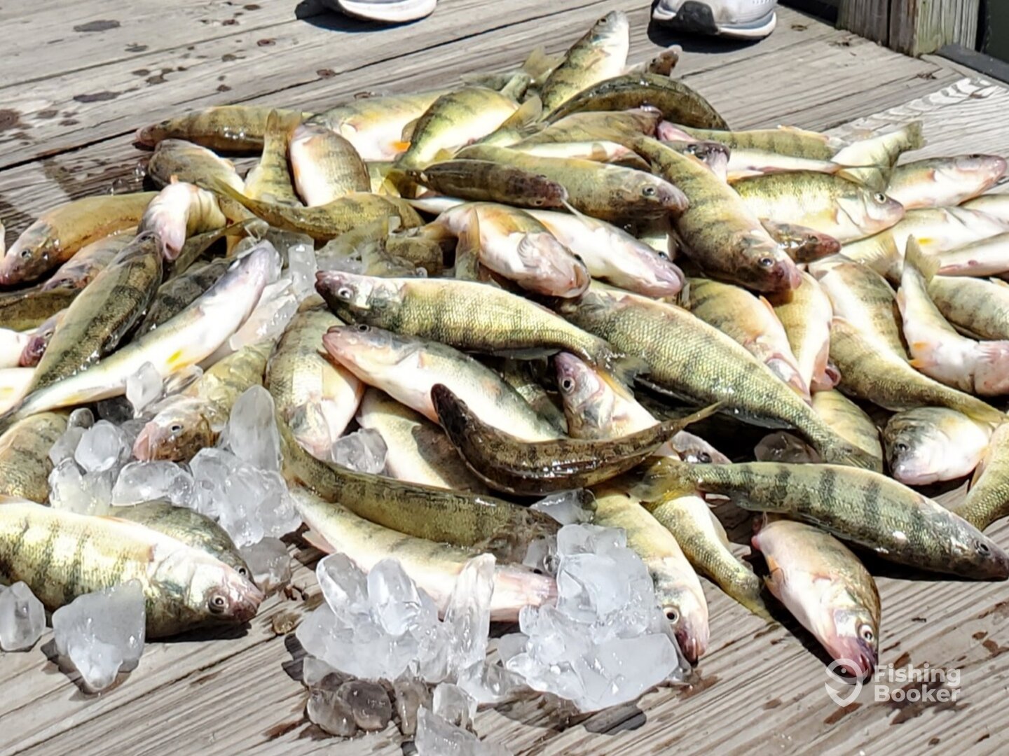 Lakeside Marblehead Report Photo 0