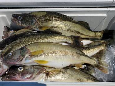 Lakeside Marblehead Report Photo 1