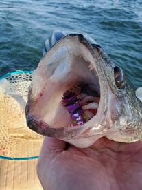 Lakeside Marblehead Report Photo 1
