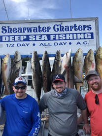 Biloxi Report Photo 2