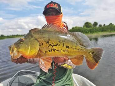 Petaling Jaya Report Photo 4