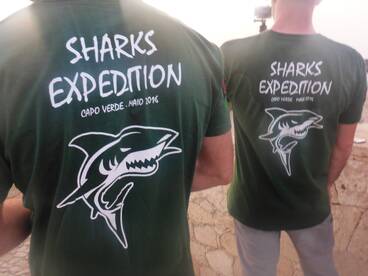 Shark Fishing Maio Island 