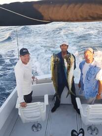 Cabo San Lucas Report Photo 2