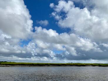 The bites getting better