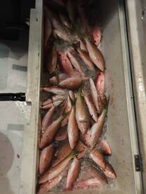 Dania Beach Report Photo 2