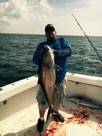 Dania Beach Report Photo 1