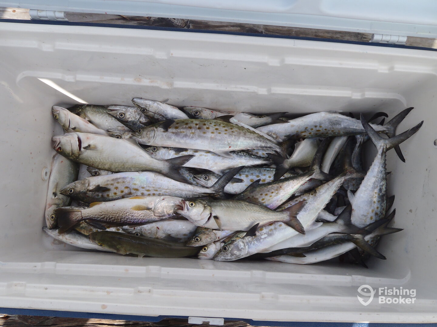 Hatteras Report Photo 0
