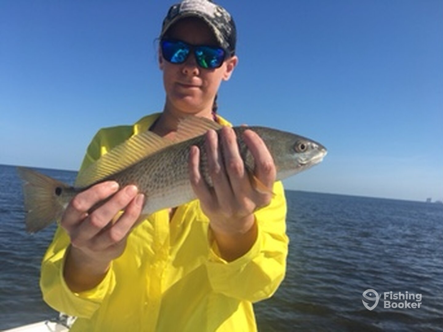 Homosassa Report Photo 0