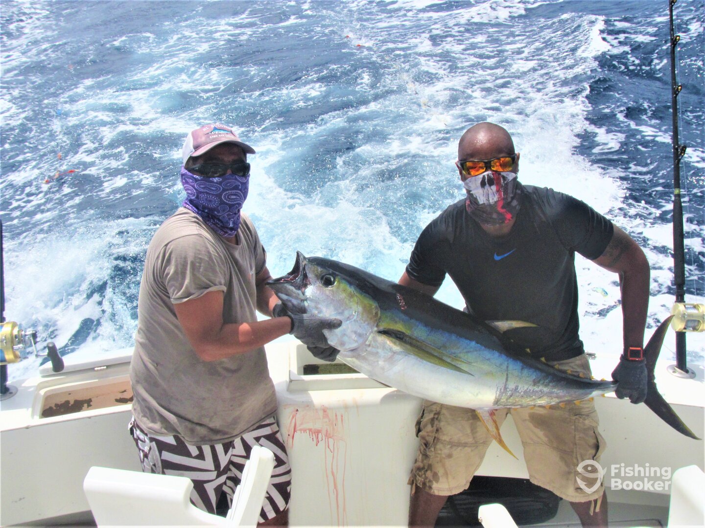 Cabo San Lucas Report Photo 0