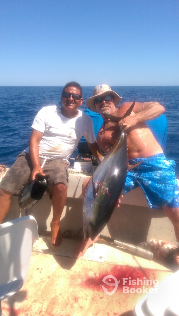 Puerto Vallarta Report Photo 0