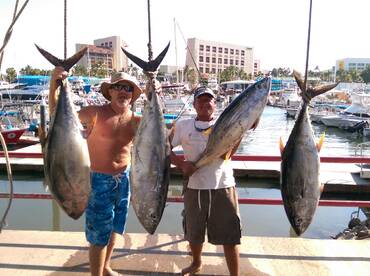Puerto Vallarta Report Photo 1